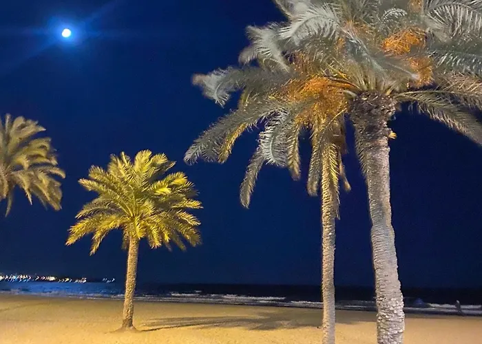 Apartment El Tiburon